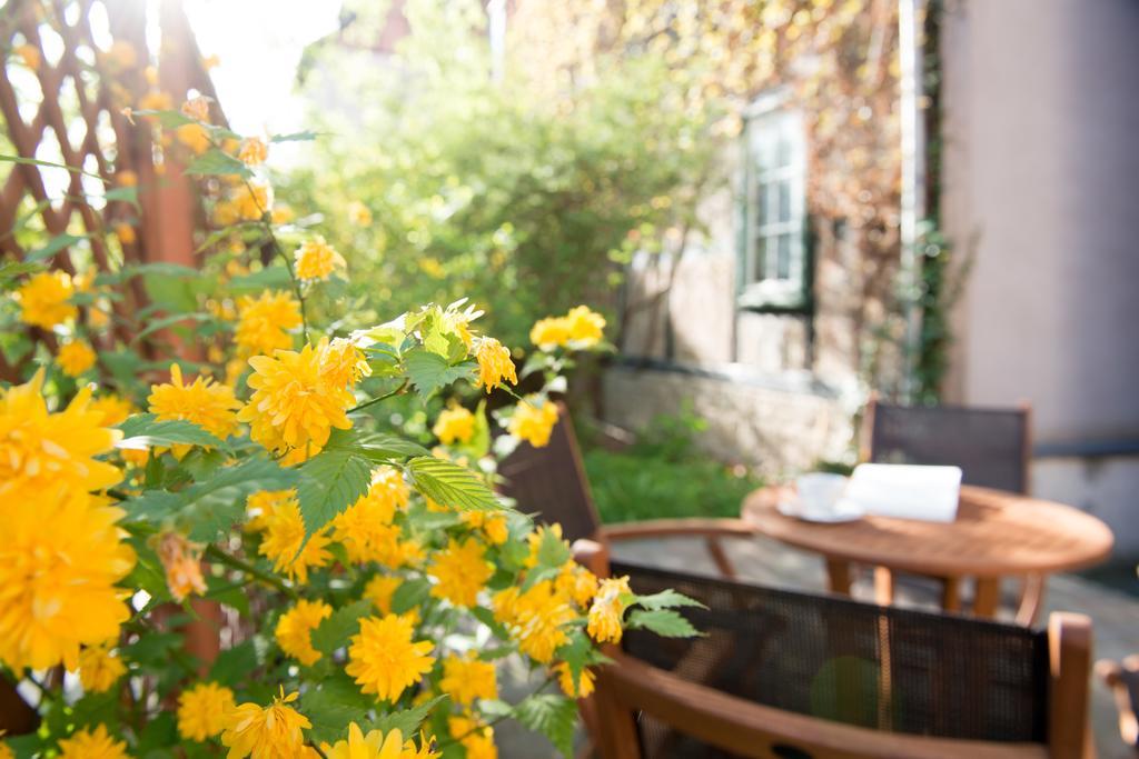 Apartmenthaus Im Stieg كيدلينبورغ المظهر الخارجي الصورة